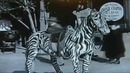 Мистические тайны человечества