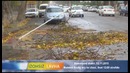 NO COMMENT – Сильный ветер в Самарканде (12.11.2015)