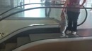 Вот так гулять с ребёнком