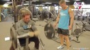 Стив кук и майк охёрн полная тренировка рук (rus sportfaza)