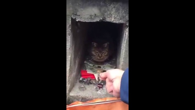 Банкомат работает только на приём валюты