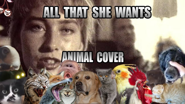 Ace Of Base – All That She Wants (Animal Cover)