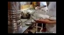 Талантливый официант