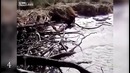 10 русалок якобы попавших в кадр