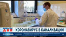 EuroNews. Франция. Короновирус в канализации