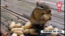 Top 100 Best of The Year 2016 Part 3