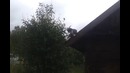 Кошмарное падение с крыши