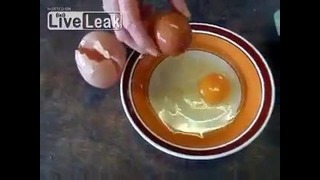 Двойное яйцо