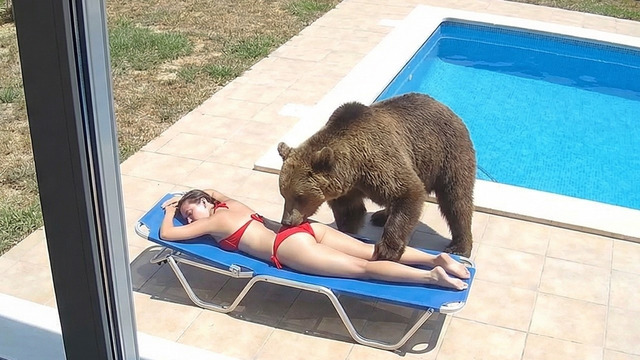 Если бы Эти Случаи с Животными не Сняли на Камеру Никто бы не Поверил