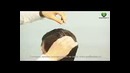 Салонная мужская стришка