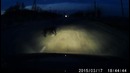 Осторожно! Собаки