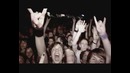 Bullet For My Valentine – Cries In Vain