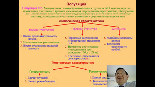 Рус. Элемент. факторы