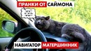 Навигатор Матершинник. Пранки от Саймона