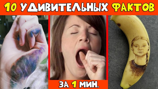 10 Обалденных Фактов За Одну Минуту | #shorts