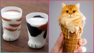 Creative Pet-Inspired Ideas That Are At Another Level