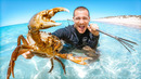 Survival Catch And Cook With My Hand Spear On Remote Island