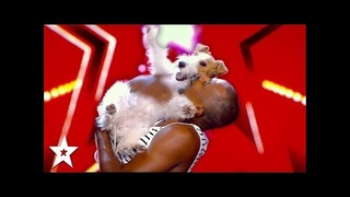 Гав! Самый счастливый пёс на шоу талантов в Германии