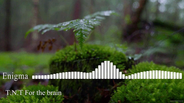 Enigma – T.N.T for the brain