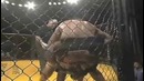 Charles Bennett – самый неадекватный боец в MMA