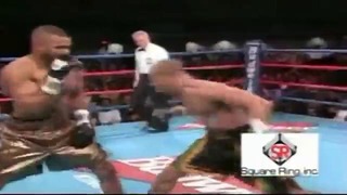 Roy Jones Jr. Perfect Fighter Highlights by Kimura