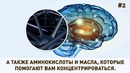 Что Будет, Если Есть 4 Миндальных Ореха Каждый День