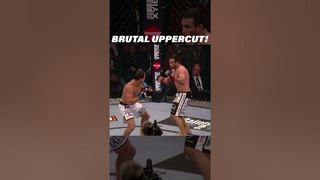 BRUTAL Uppercut Knockout