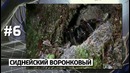 Топ 5 дай 5 – 10 опаснейших пауков