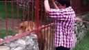 Потрачено – Разбудил басом