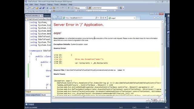 ASP.NET MVC 3 10.04 – Custom Error