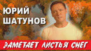 Юрий Шатунов – Заметает листья снег (Премьера 2020!)