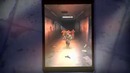Corridor Z