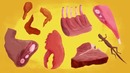 Edu – Откуда берется кариес