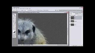 PhotoshopLes – Masking Fur (eng)