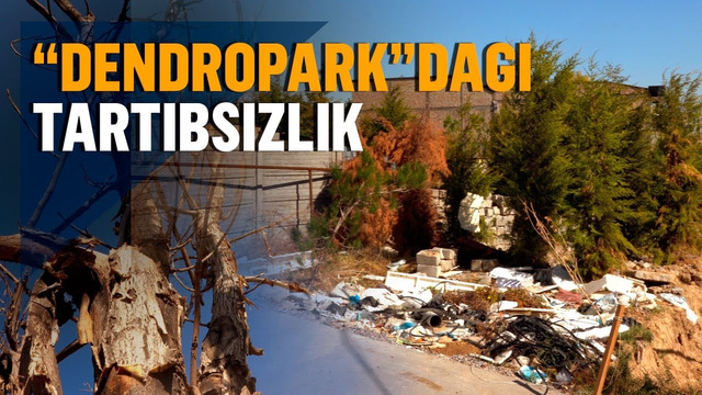 Bo‘lib olinayotgan “Dendrapark” yoxud g‘oyib bo‘layotgan daraxtzorlar taqdiri