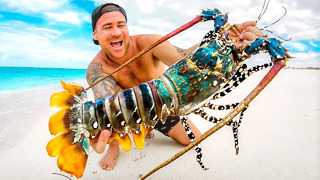 Giant Rainbow Lobster Catch And Cook On Remote Beach