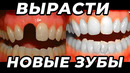 Выращивание новых зубов – 5 секретных техник о которых молчат стоматологи