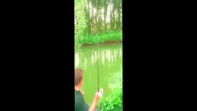 Рыбалка. Амур на 2.9 на легкую снасть (пикер) и тоненький поводок (0,11мм)