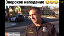Лучшие приколы 2019 ноябрь 41 ржака до слез тест на психику засмеялся – подписался