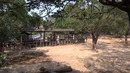 Китай Рулит в Китае! 12. Safari Park часть 3