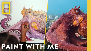 Paint an Octopus With Me | Lofi Relaxing Vibes | National Geographic