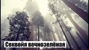 5 РАСТЕНИЙ, поражающих воображение