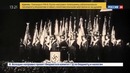 Мюнхенский сговор. Приглашение в ад. Документальный фильм Алексея Денисова