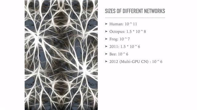 Нейронные сети за 30 минут – от теории до практики