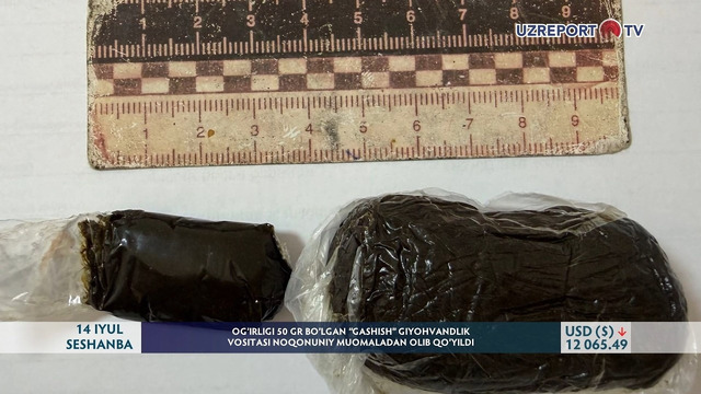 Og‘irligi 50 gramm bo‘lgan gashish giyohvandlik vositasi noqonuniy muomaladan olib qo‘yildi
