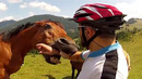 Animal Encounters But They Get Crazier