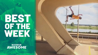 Best of the Week | 2019 Ep. 40 | People Are Awesome