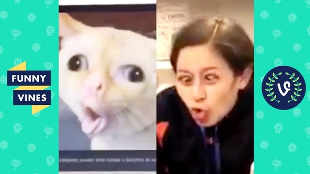 TRY NOT TO LAUGH – Funny Videos From Around The Internet