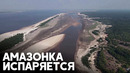 Рекордная засуха опустила уровень Амазонки и её притоков почти до 50-летнего минимума