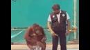 Если вы не посмотрели зря прожили жизнь
